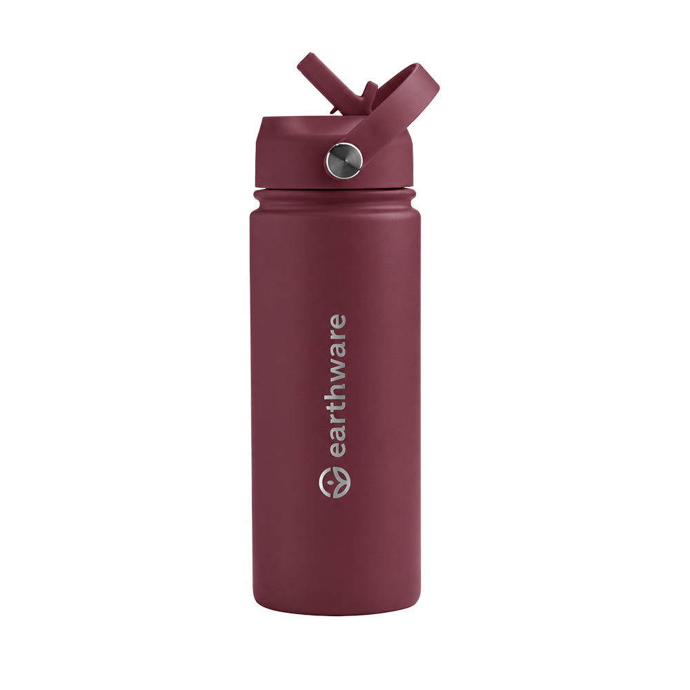 Earth Bottle Premium Insulated Water Bottle with 2 x Caps - Dusty Plum (550ml)
