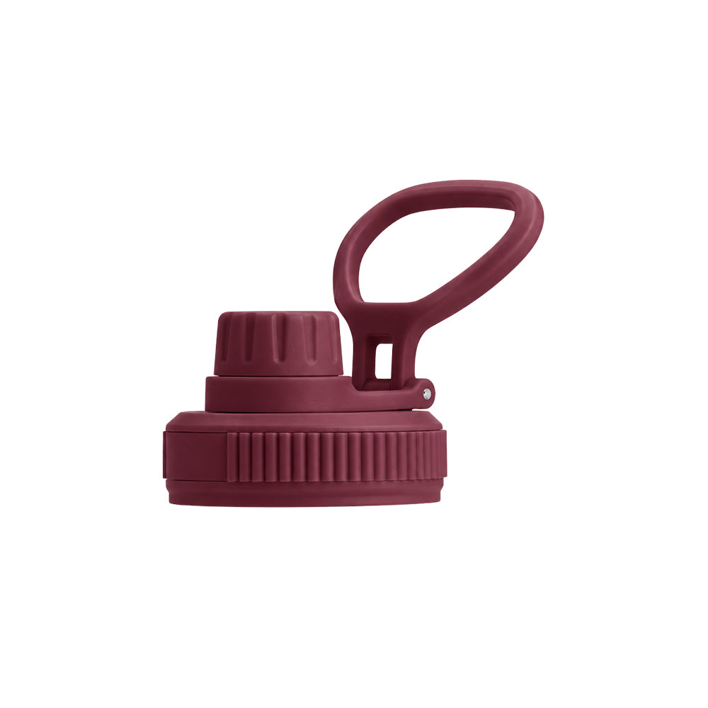 Earth Bottle Premium Insulated Water Bottle with 2 x Caps - Dusty Plum (550ml)