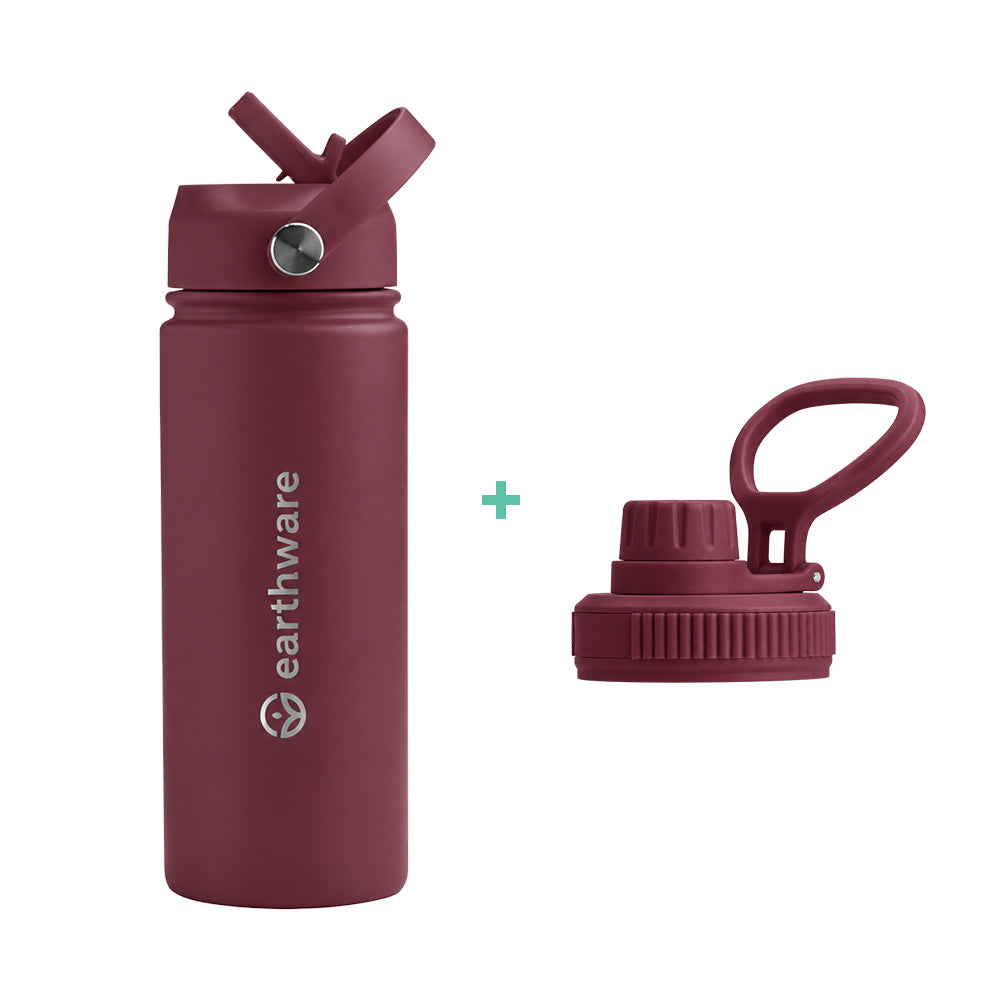 Earth Bottle Premium Insulated Water Bottle with 2 x Caps - Dusty Plum (550ml)