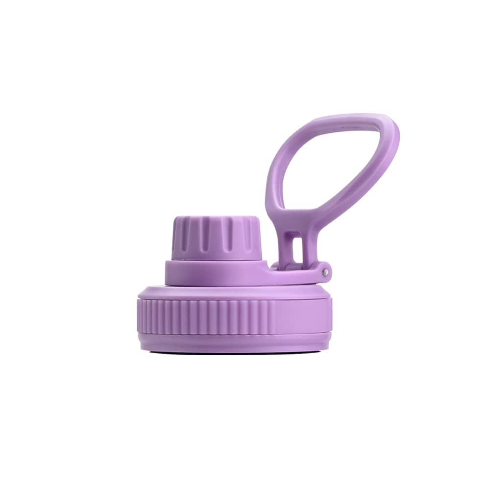 Earth Bottle Premium Insulated Water Bottle with 2 x Caps - Purple (1L)