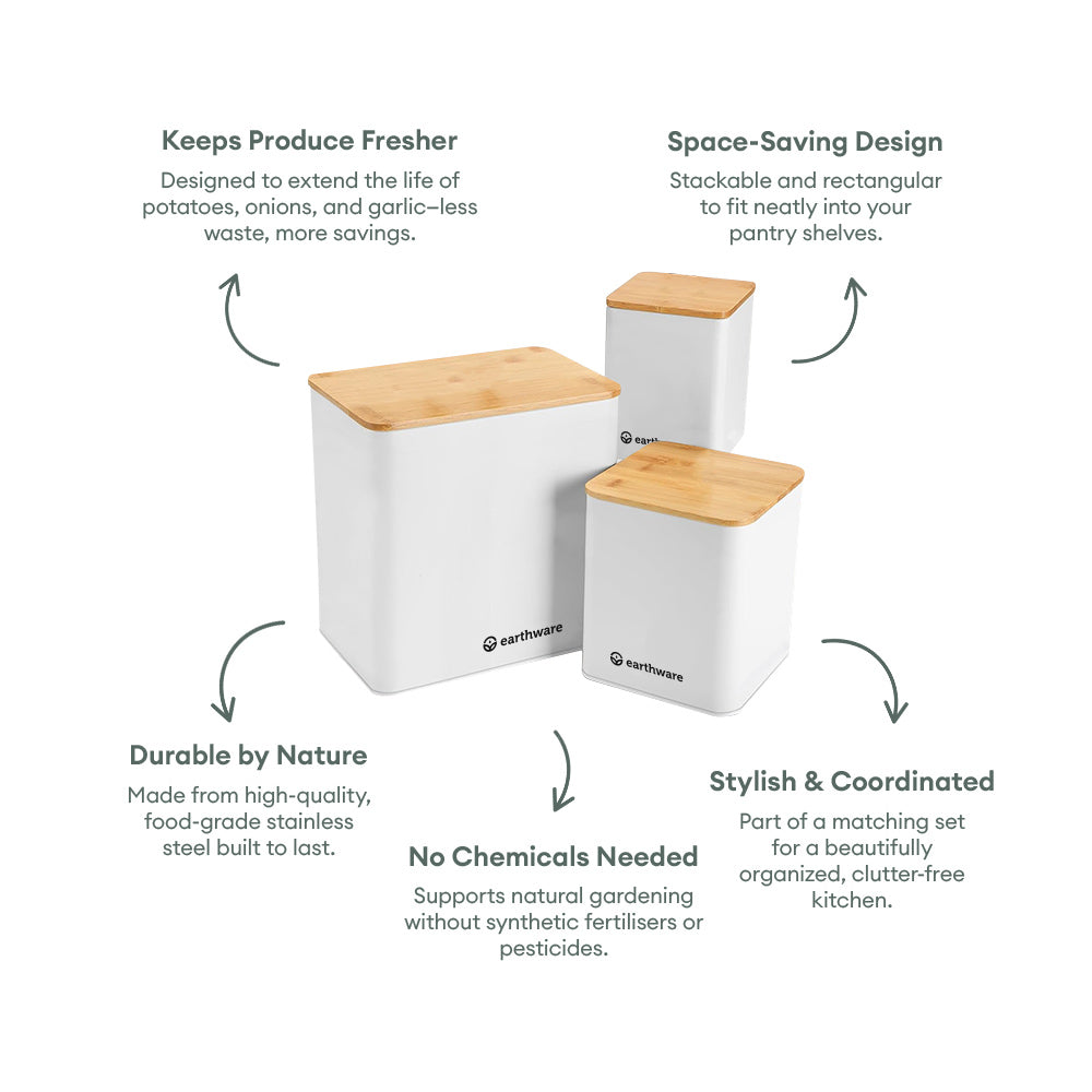Vegetable Storage Containers