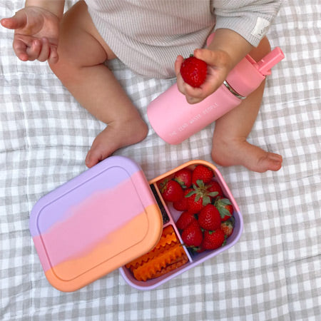 The Zero Waste People Bento Snack Box