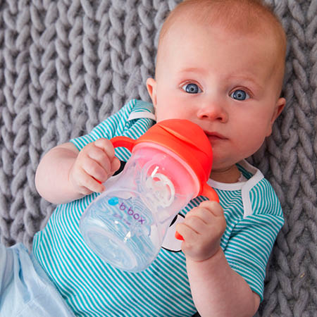 Bbox sales baby bottle