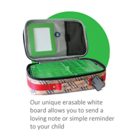 Go Green Bento Lunch Box Set