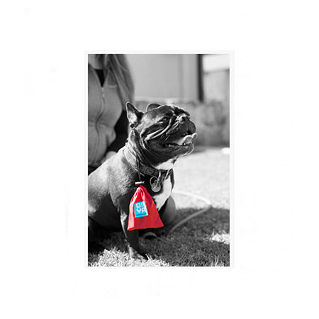 Onya Dog Waste Disposal Bag &amp; Pouch (30pk)